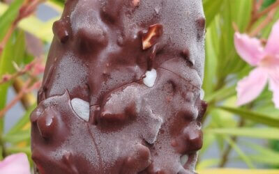 Magnum sans lactose