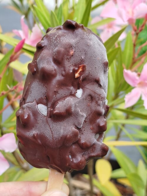Magnum sans lactose