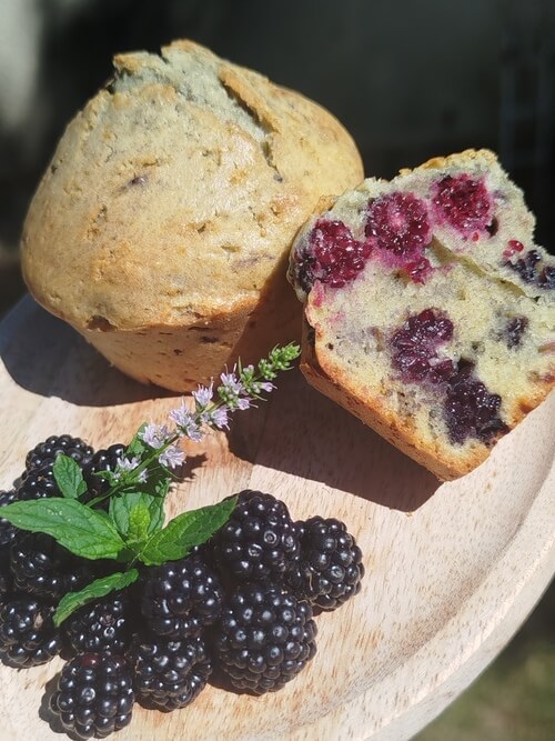 Muffins aux mûres